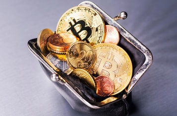 Crypto Wallets Holding more than 1,000 Bitcoins Hit an All-Time High