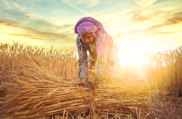 Dubai’s Free Zone to Bridge the UAE-India Agriculture Trade Gap with Blockchain