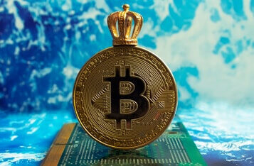 Bitcoin’s Price Remains Stable Despite Crypto Market Crash, BTC Matures into a Less Volatile Asset