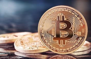 Bitcoin Whale Addresses Continue to Grow, as Smaller BTC Holders Sell at $23K for Profit