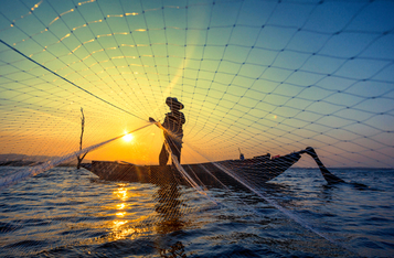 United Nations FAO: Blockchain, IoT and Robotics Can Foster a Sustainable and Profitable Global Seafood Economy