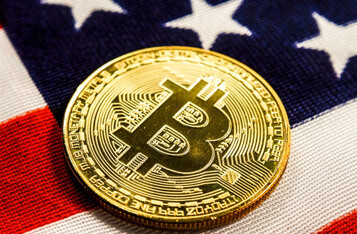 专家称无论美国2020年总统选举结果如何，比特币都将上涨至1.2万美元