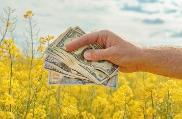 Vitalik Buterin Sceptical About DeFi Yield Farming, Compares It to US Federal Reserve Money Printing