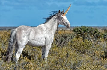 Uniswap’s UNI Becomes a Top 10 DeFi Token After a Day, Driving Ethereum Transaction Fees to an All-Time High