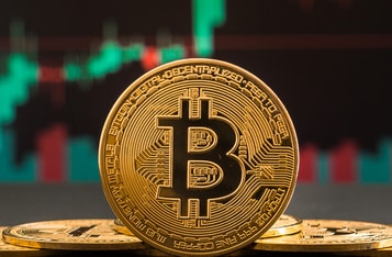 Bitcoin Sets Another All-Time High at Over $29K, Key Indicator Suggests BTC Whales Not Looking to Dump